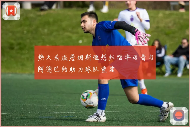 热火或成詹姆斯理想归宿字母哥与阿德巴约助力球队重建
