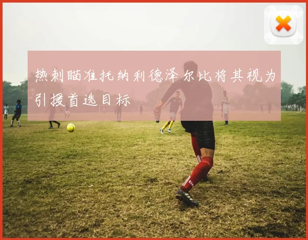 热刺瞄准托纳利德泽尔比将其视为引援首选目标