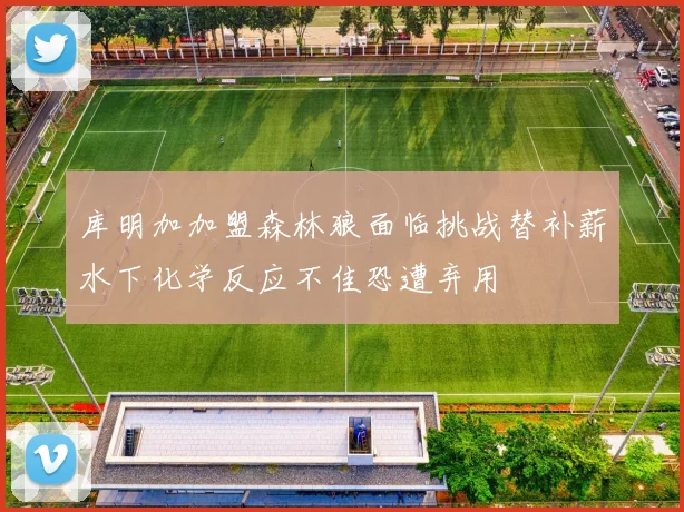 库明加加盟森林狼面临挑战替补薪水下化学反应不佳恐遭弃用